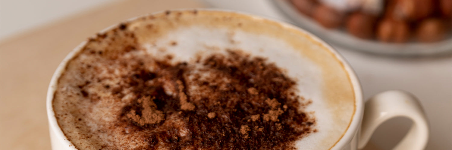 Mocha Protein Coffee Latte_1500x500