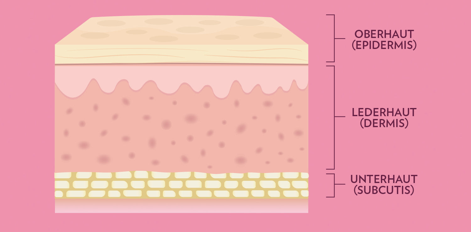 1500_InfoBeautyFood_01Haut