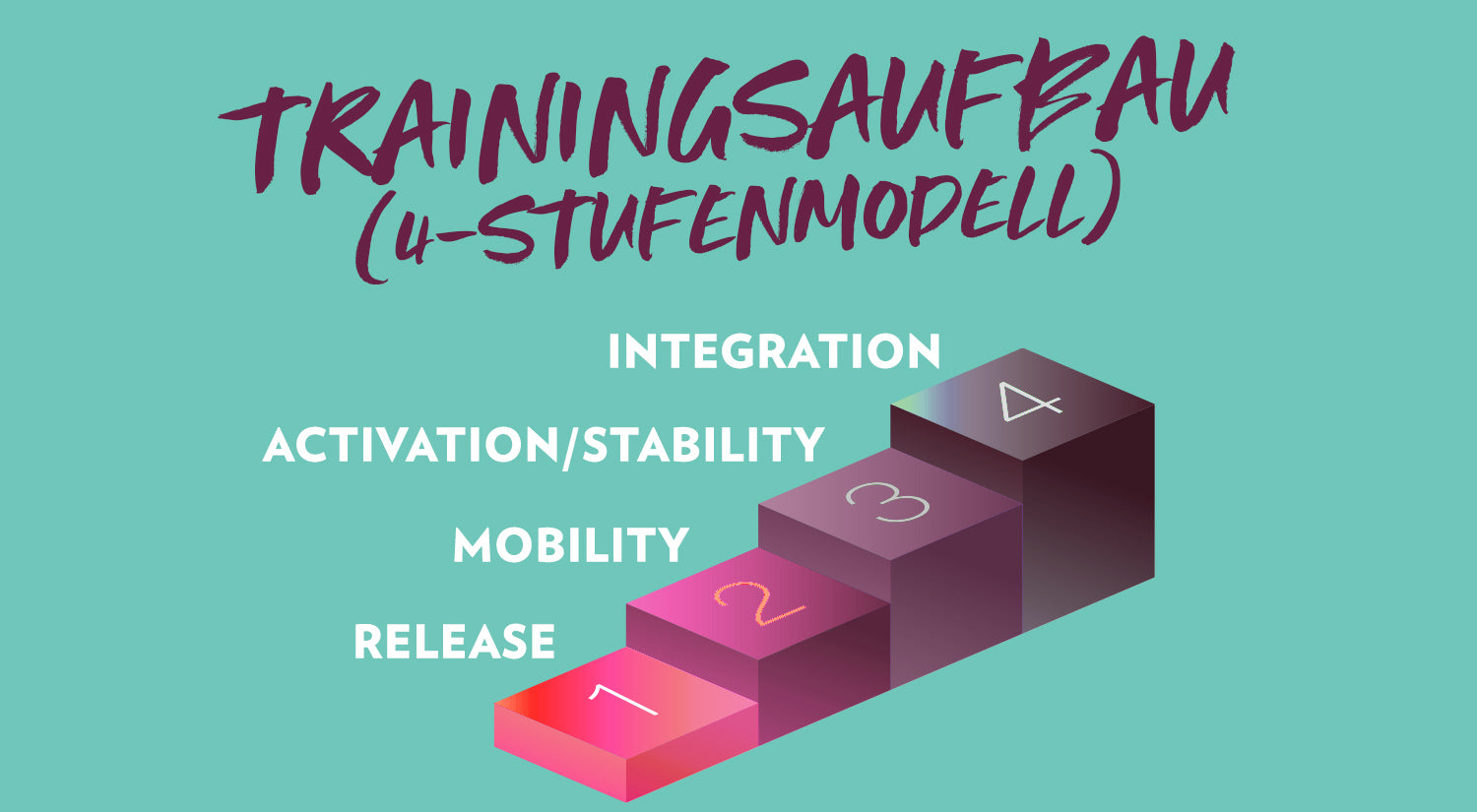 Trainingsaufbau - 4-Stufen-Modell