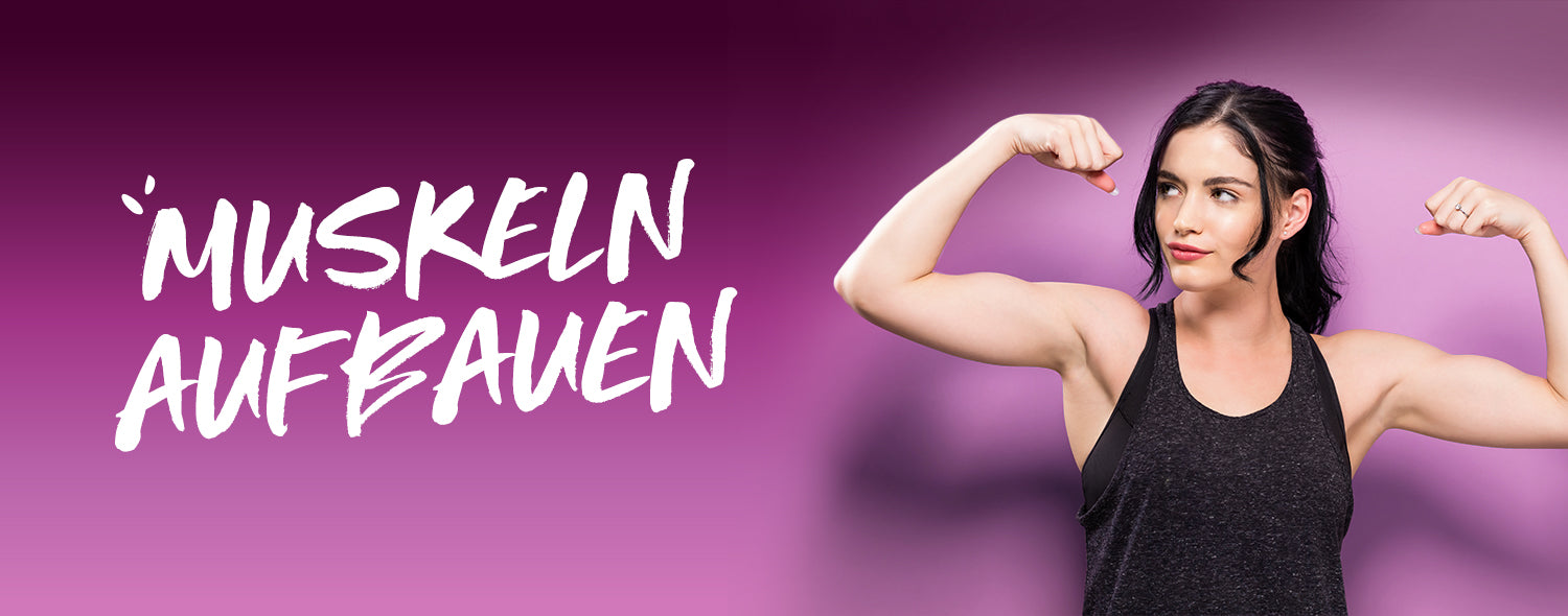 1500_Kraft_Ausdauer_Grafik_1