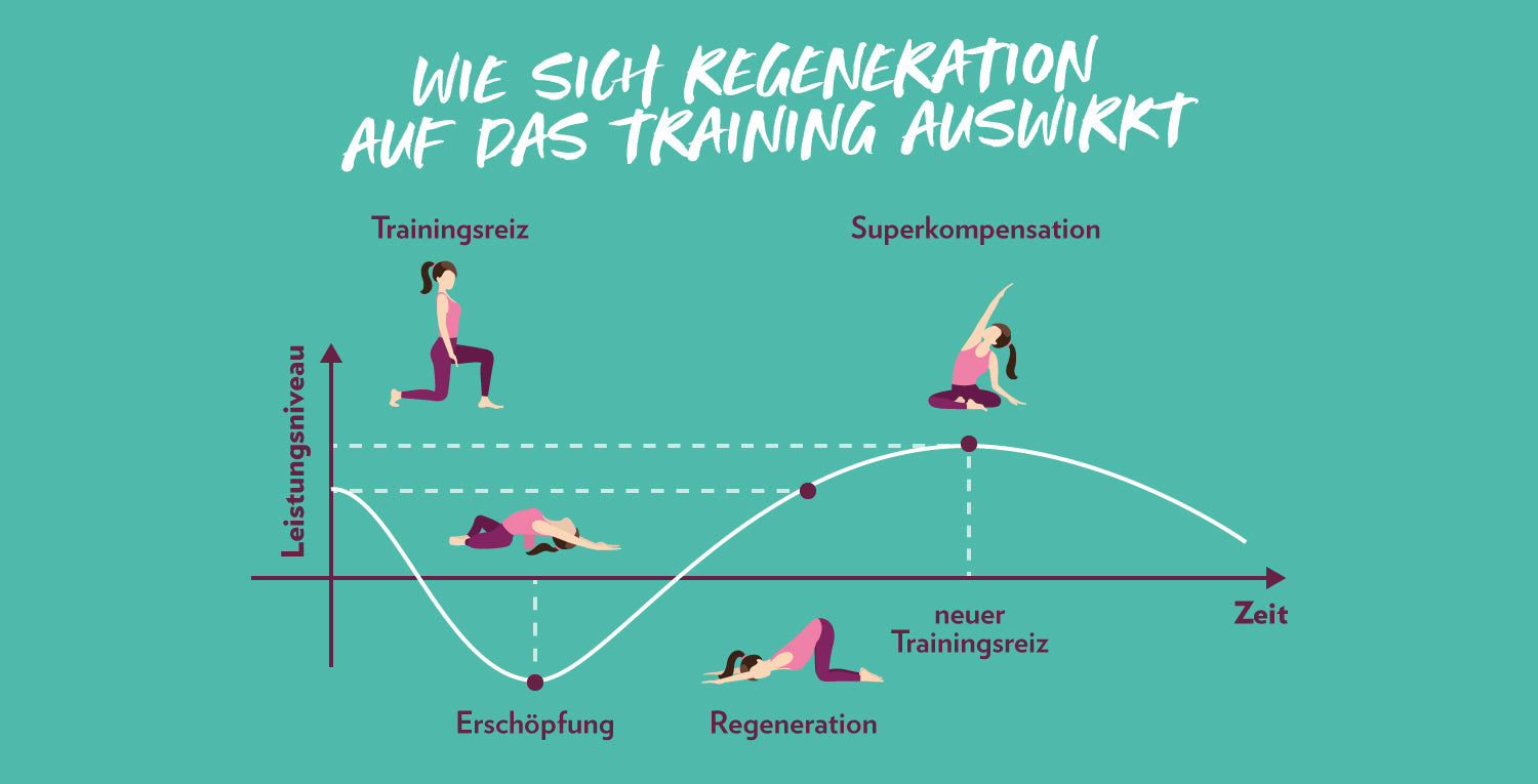 1500_Regeneration_Grafik1