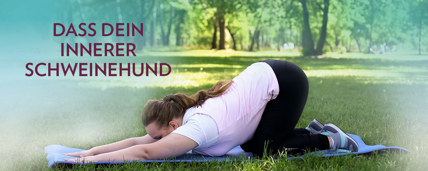 1500_Schweinehund_Bilder_4