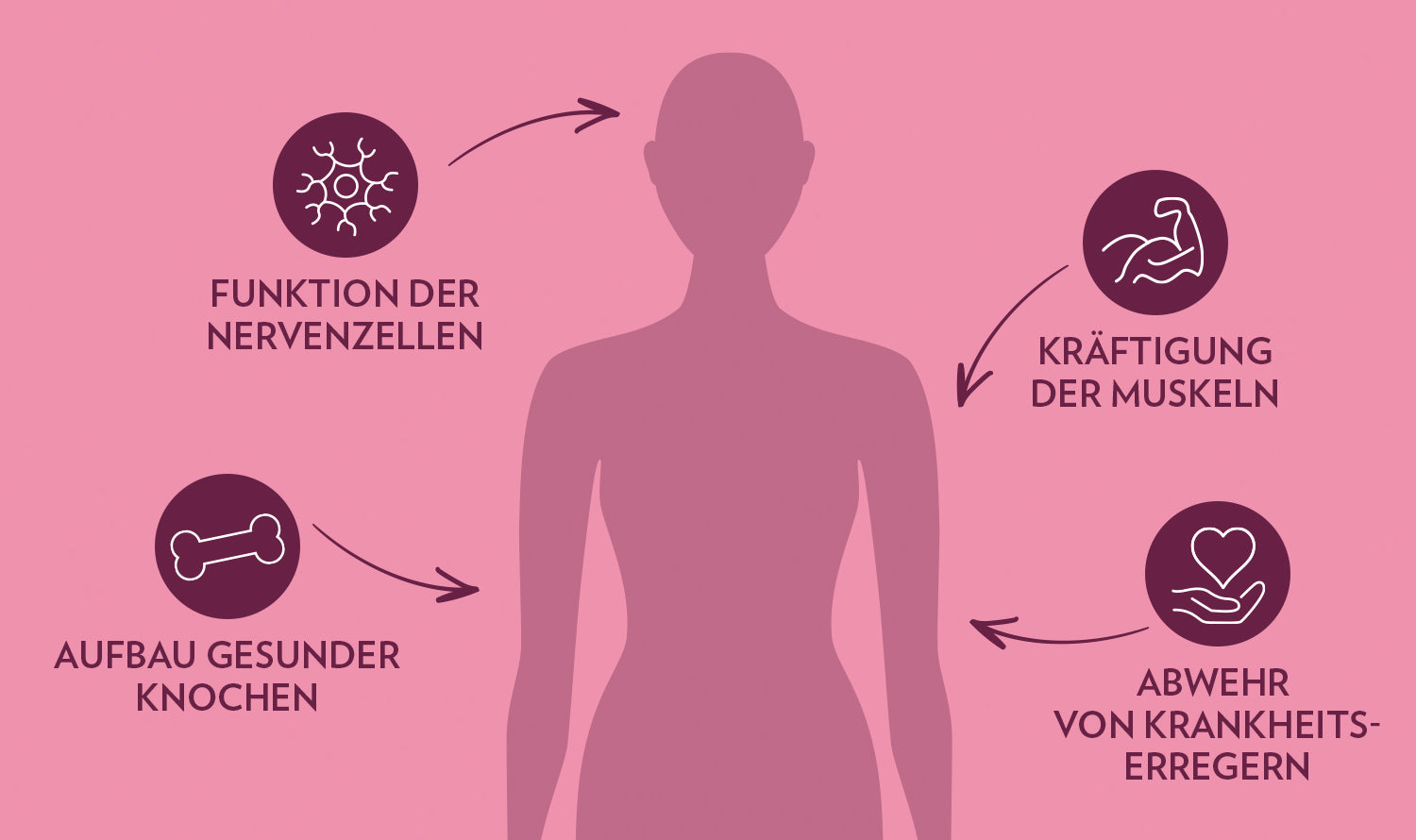 Vitamin D - wichtig für Knochen & Muskelkraft