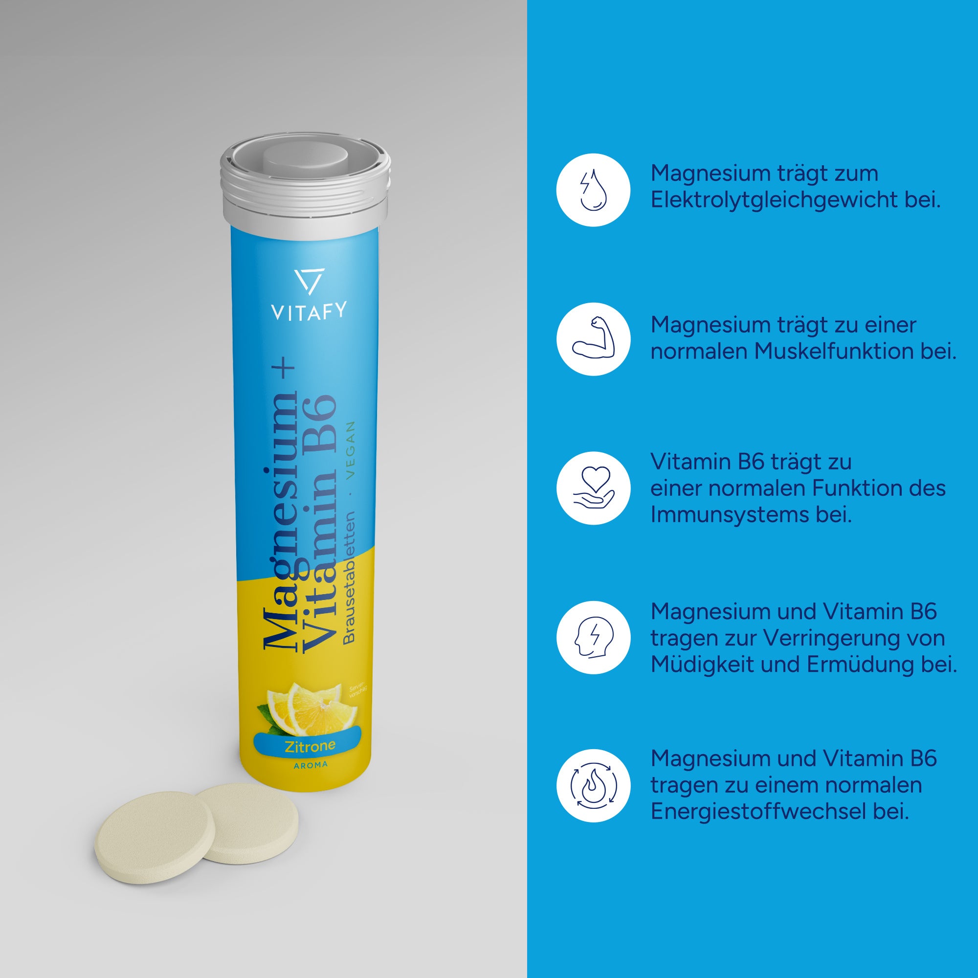 Magnesium + Vitamin B6 - Zitrone (20 Brausetabletten) - 6er Pack