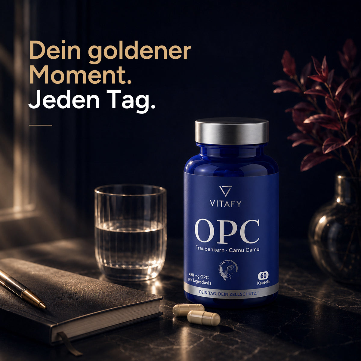 OPC Traubenkernextrakt + Vitamin C (60 Kapseln)