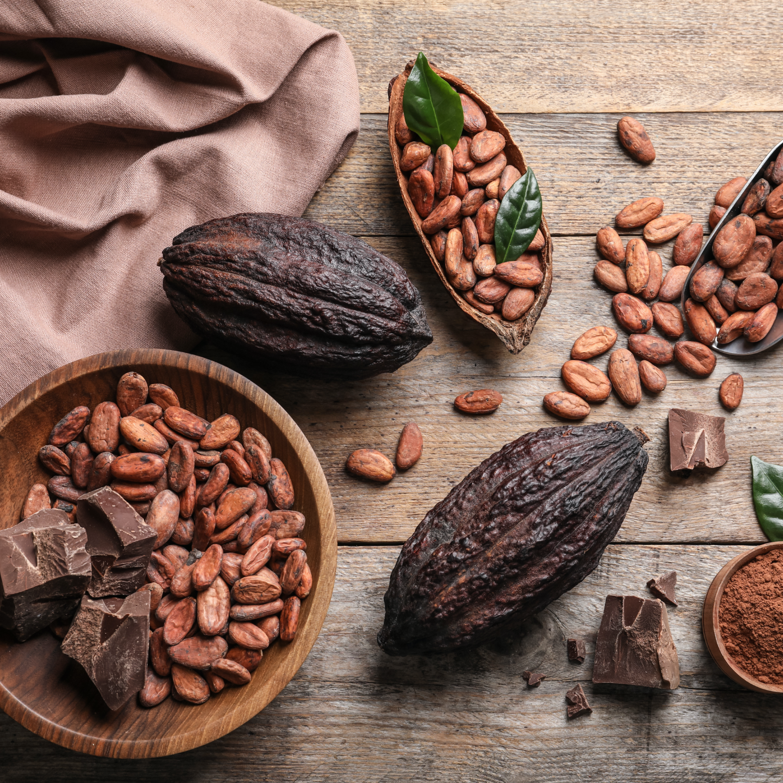 Kakao Nibs Bio (500g)