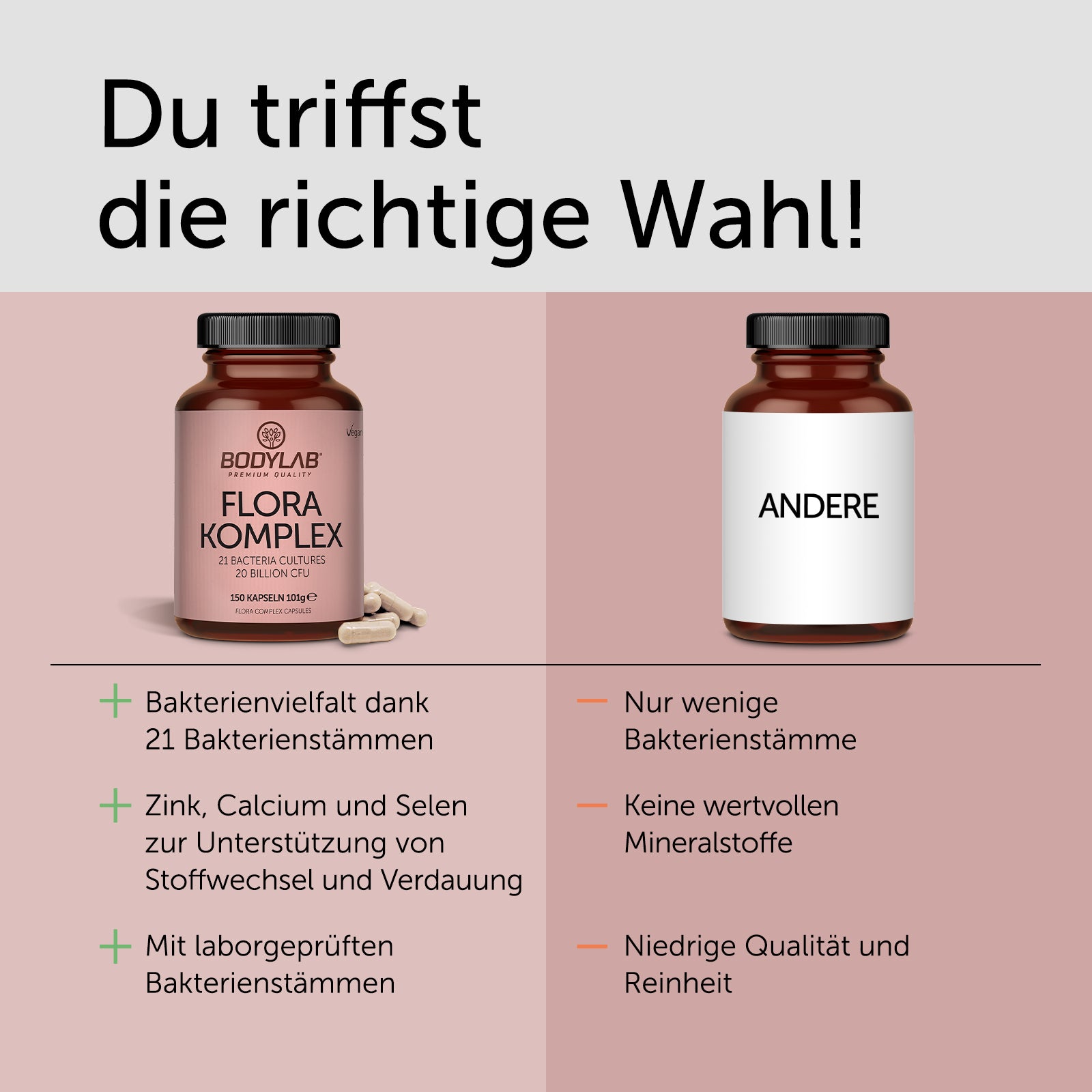 Flora Complex / Komplex (150 Kapseln) (21 Bacteria Cultures 20 Billion CFU)