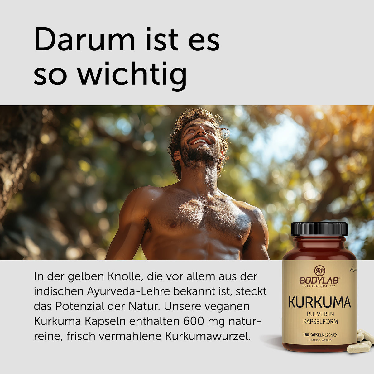 Kurkuma Pulver in Kapselform (180 Kapseln)
