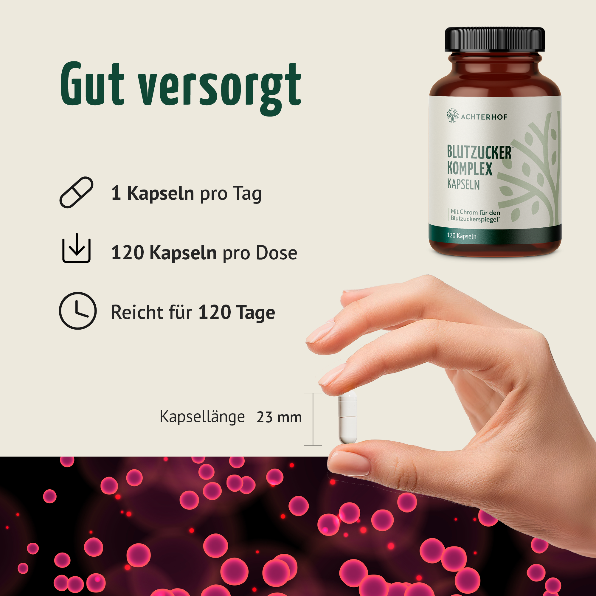 Blutzucker Komplex Kapseln (120 Kapseln)