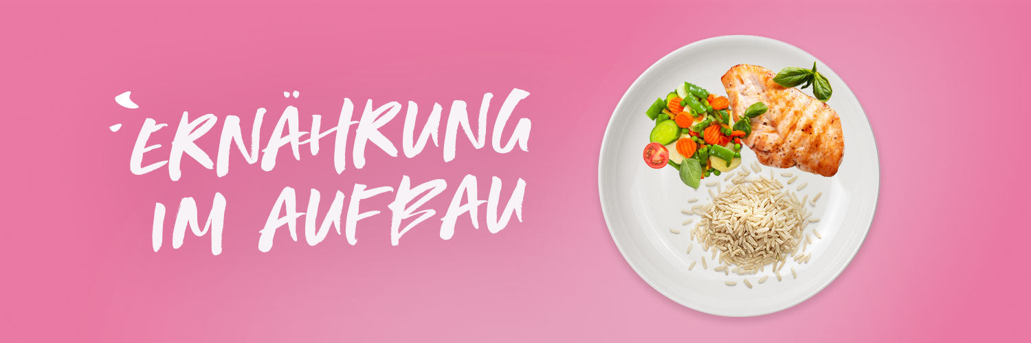 Ernaehrung_1500x500px_2