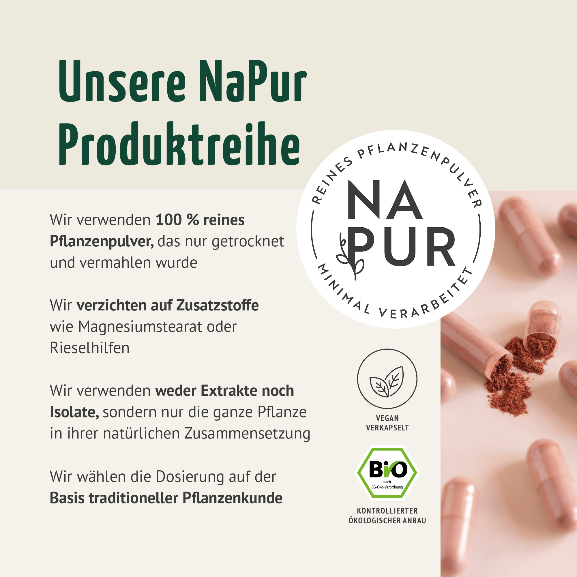 Bio Hagebutten Kapseln (180 Kapseln)