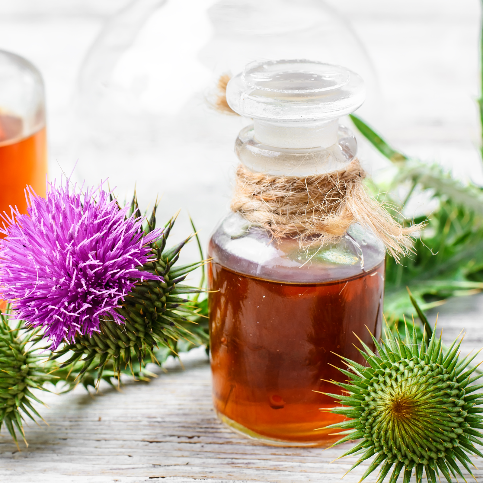 Mariendistelkraut geschnitten Bio (500g)