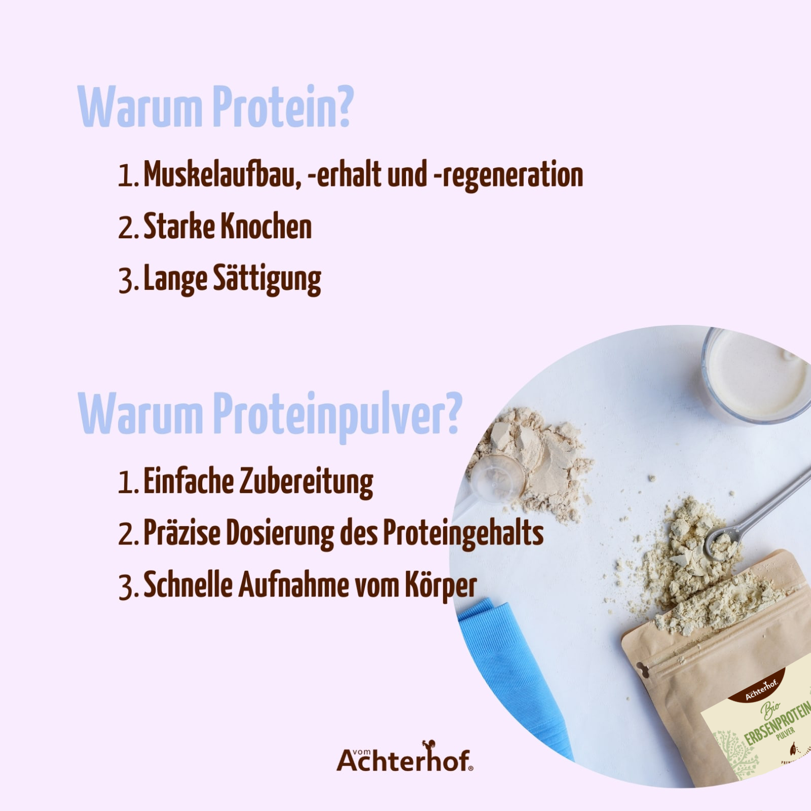 Erbsenprotein Pulver Bio (1000g)