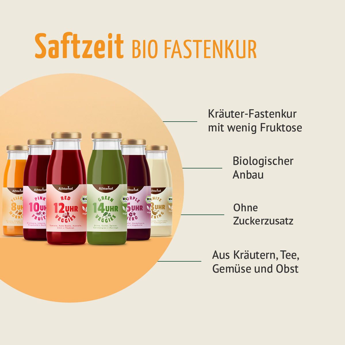 Saftzeit Bio Fastenkur 1 Tag (6 Flaschen)