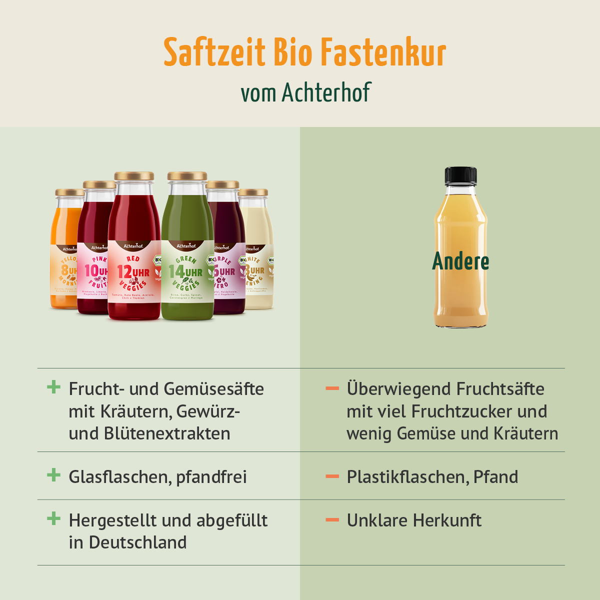 Saftzeit Bio Fastenkur 1 Tag (6 Flaschen)