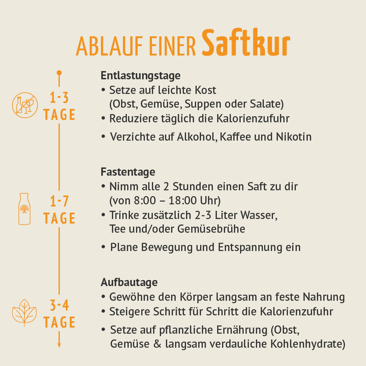 Saftzeit Bio Fastenkur 1-7 Tage (6 Flaschen pro Tag)