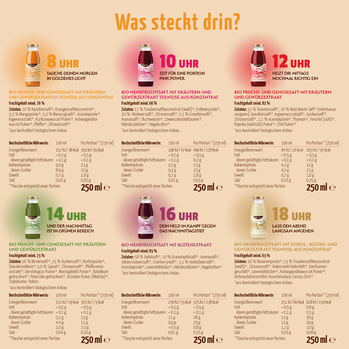 Saftzeit Bio Fastenkur 1 Tag (6 Flaschen)