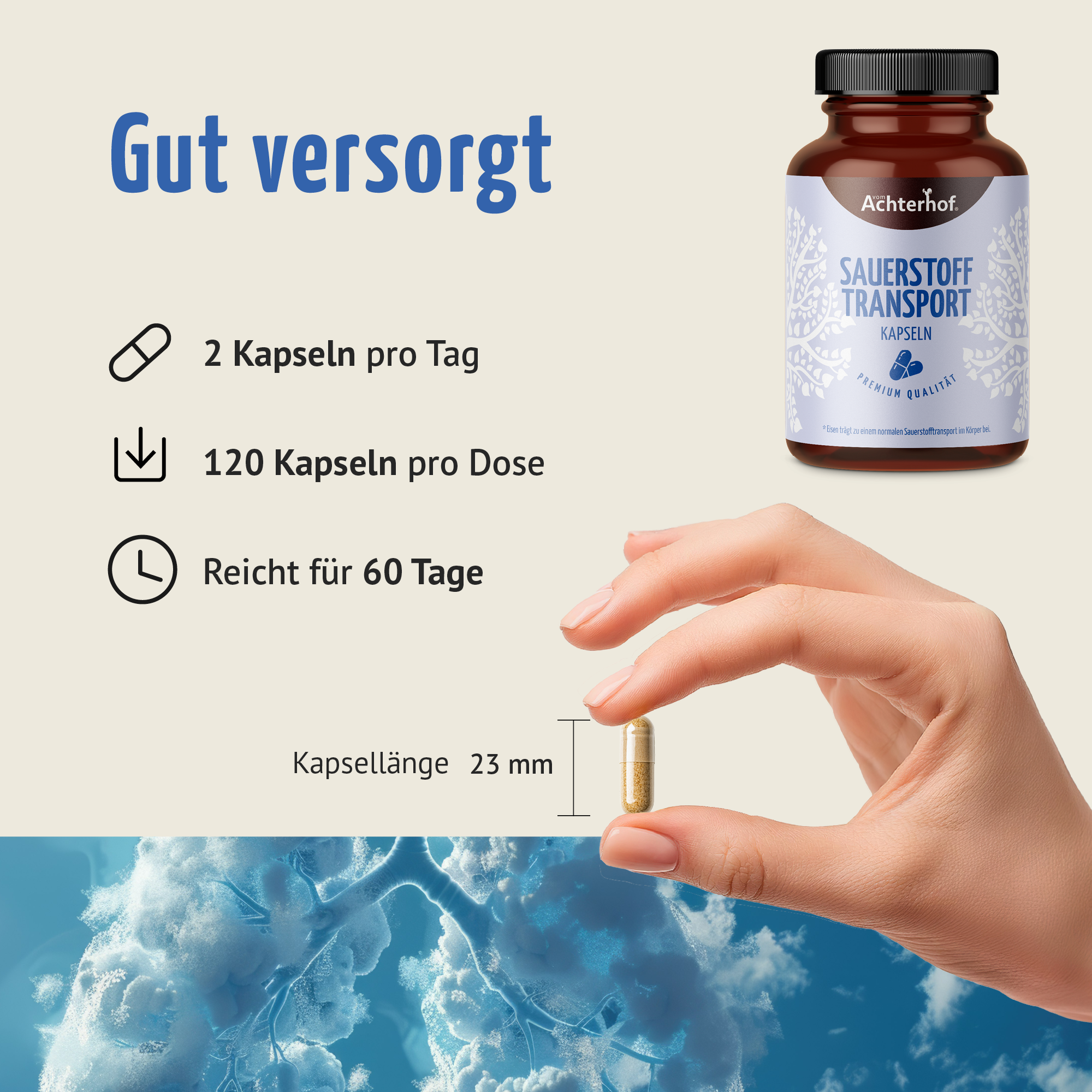 Sauerstoff Transport Kapseln (120 Kapseln)