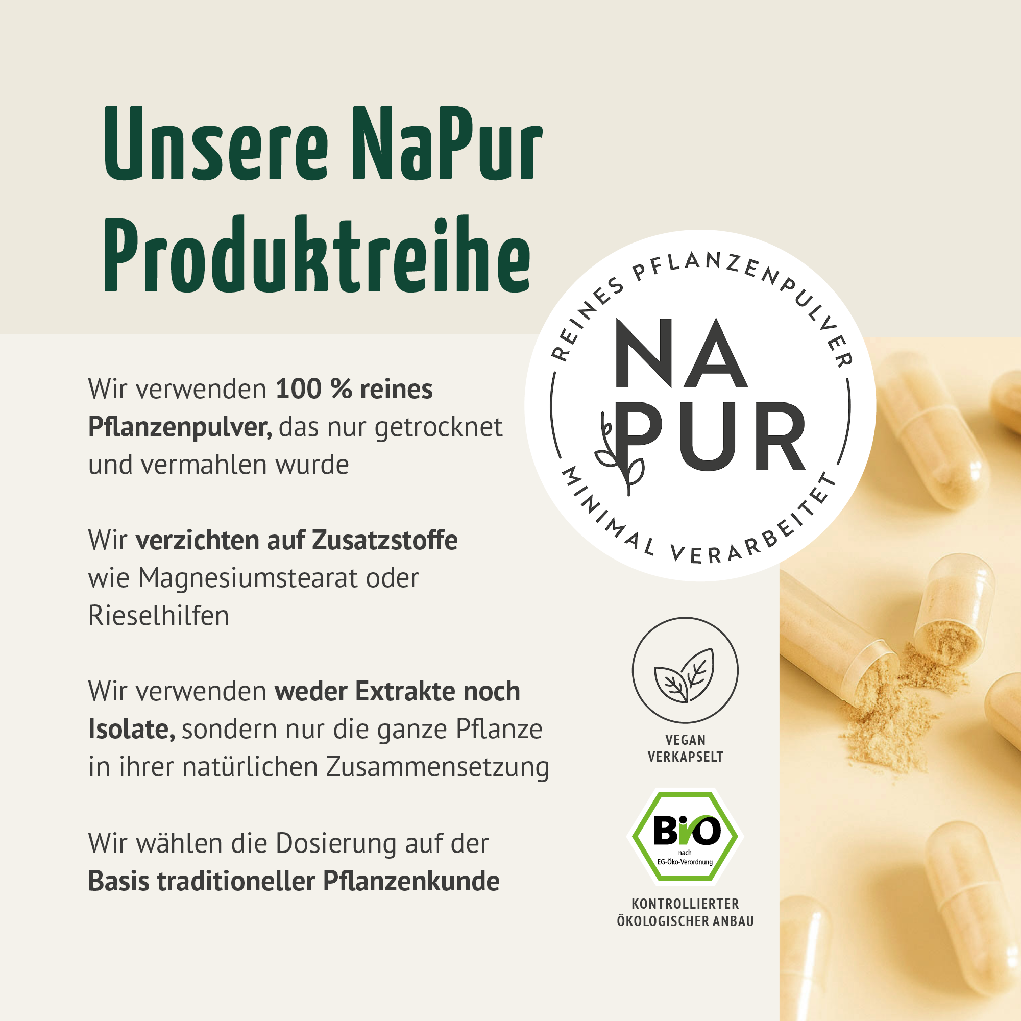 Bio Triphala Kapseln Nachfüllpack (400 Kapseln)