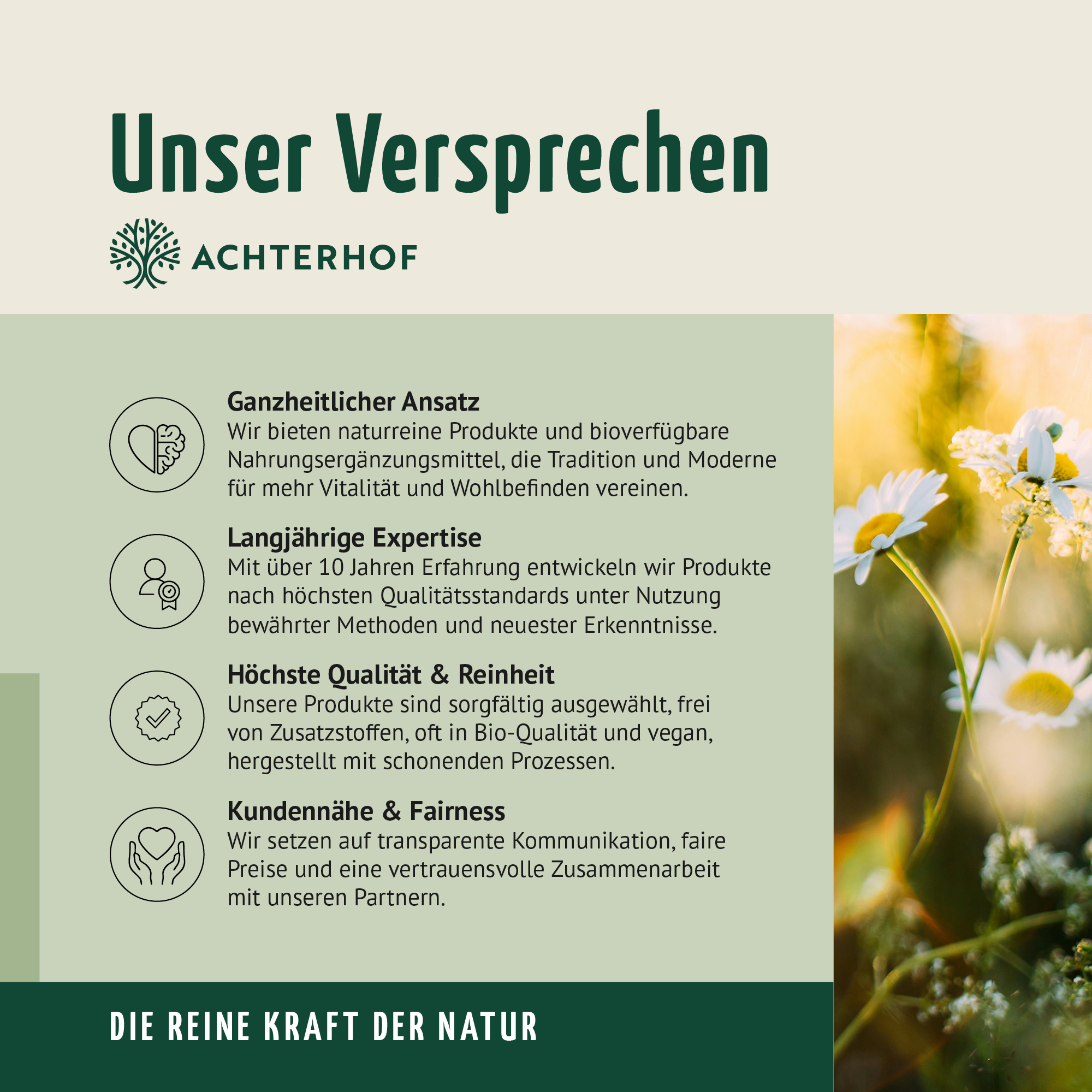 Vegane Omega-3 Kapseln (120 Kapseln)