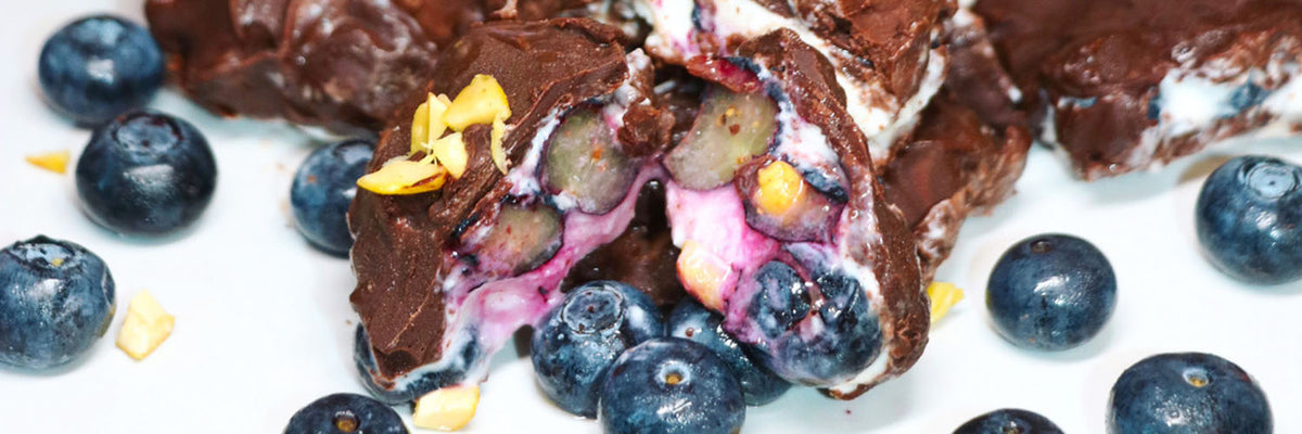 Frozen Blueberry Joghurt Bites