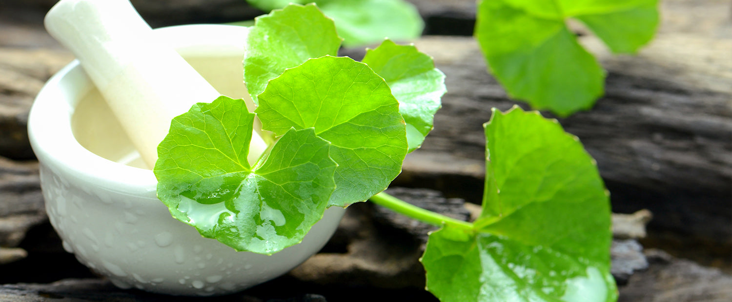 1500_BildCellulite_1