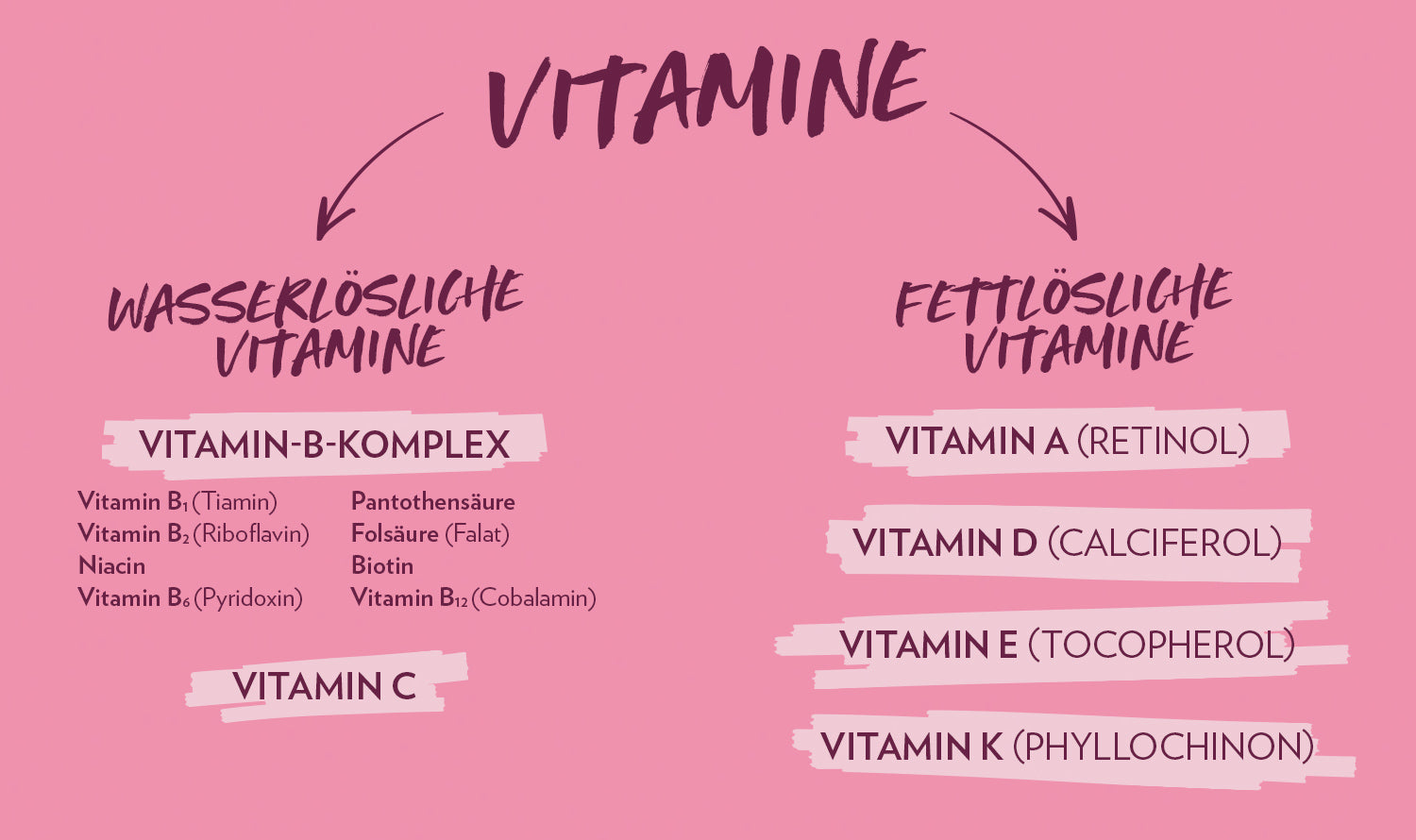 Wasser- und fettlösliche Vitamine
