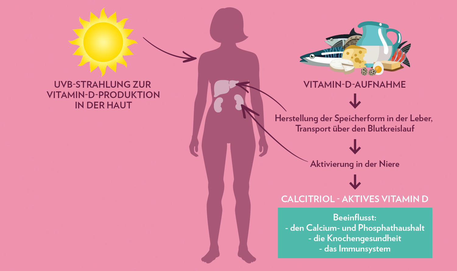 Vitamin D - Sonne &amp; Ernährung