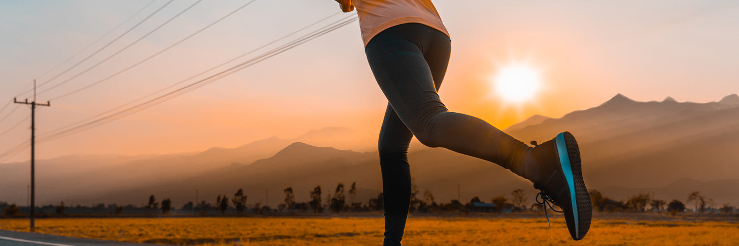 1500x500_Zwischenbild_Sandra_3