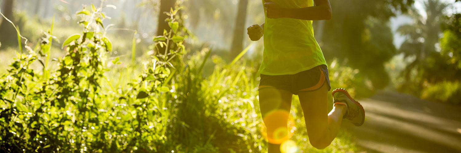 1500x500_Zwischenbild_Sandra_5