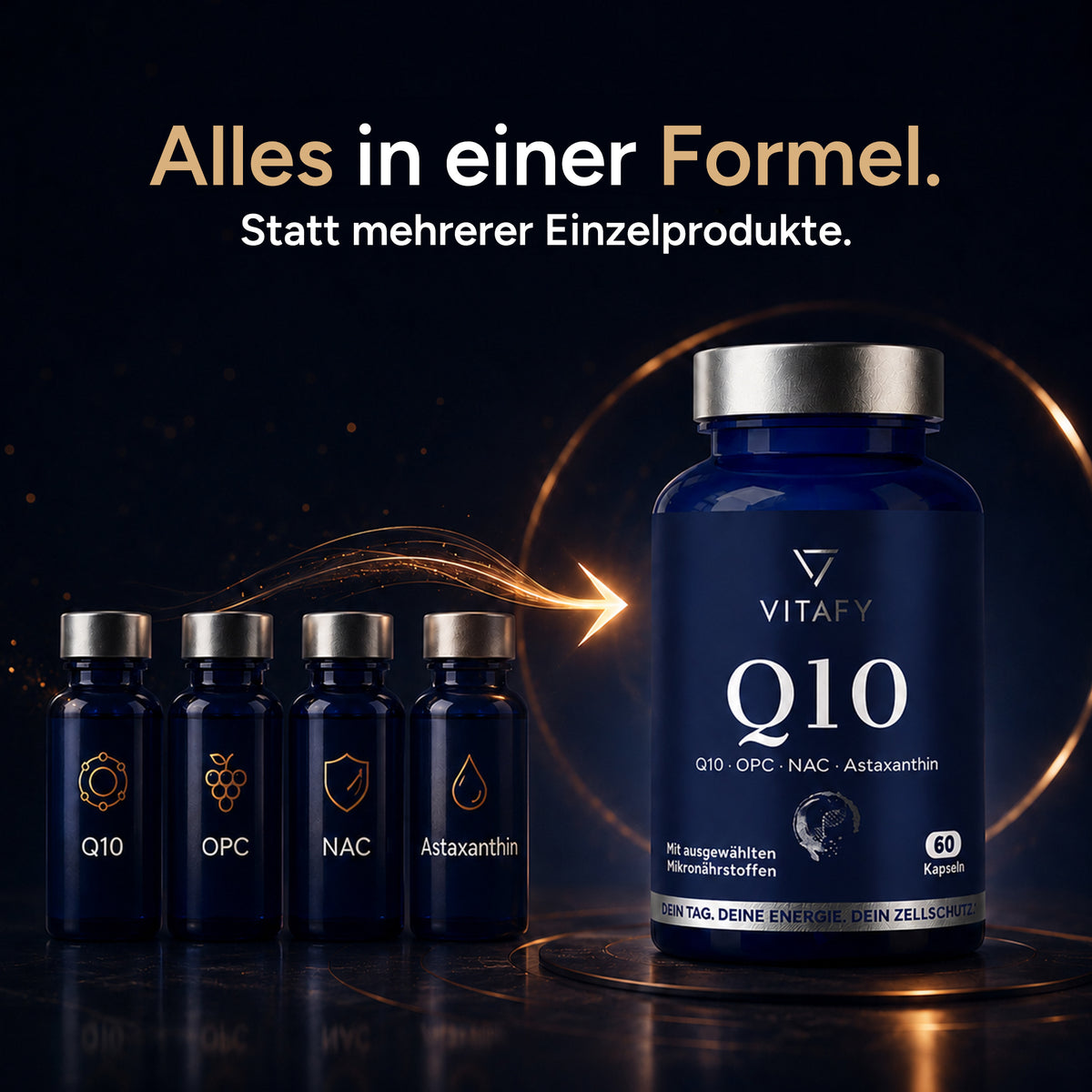 Q10 Zellschutz Komplex mit OPC, NAC und Astaxanthin (60 Kapseln)