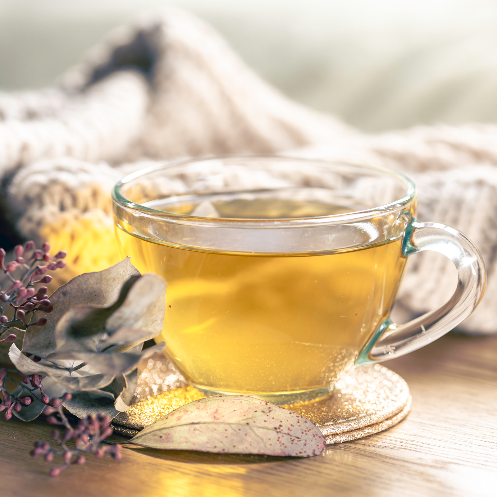 Birkenblätter geschnitten (250g)