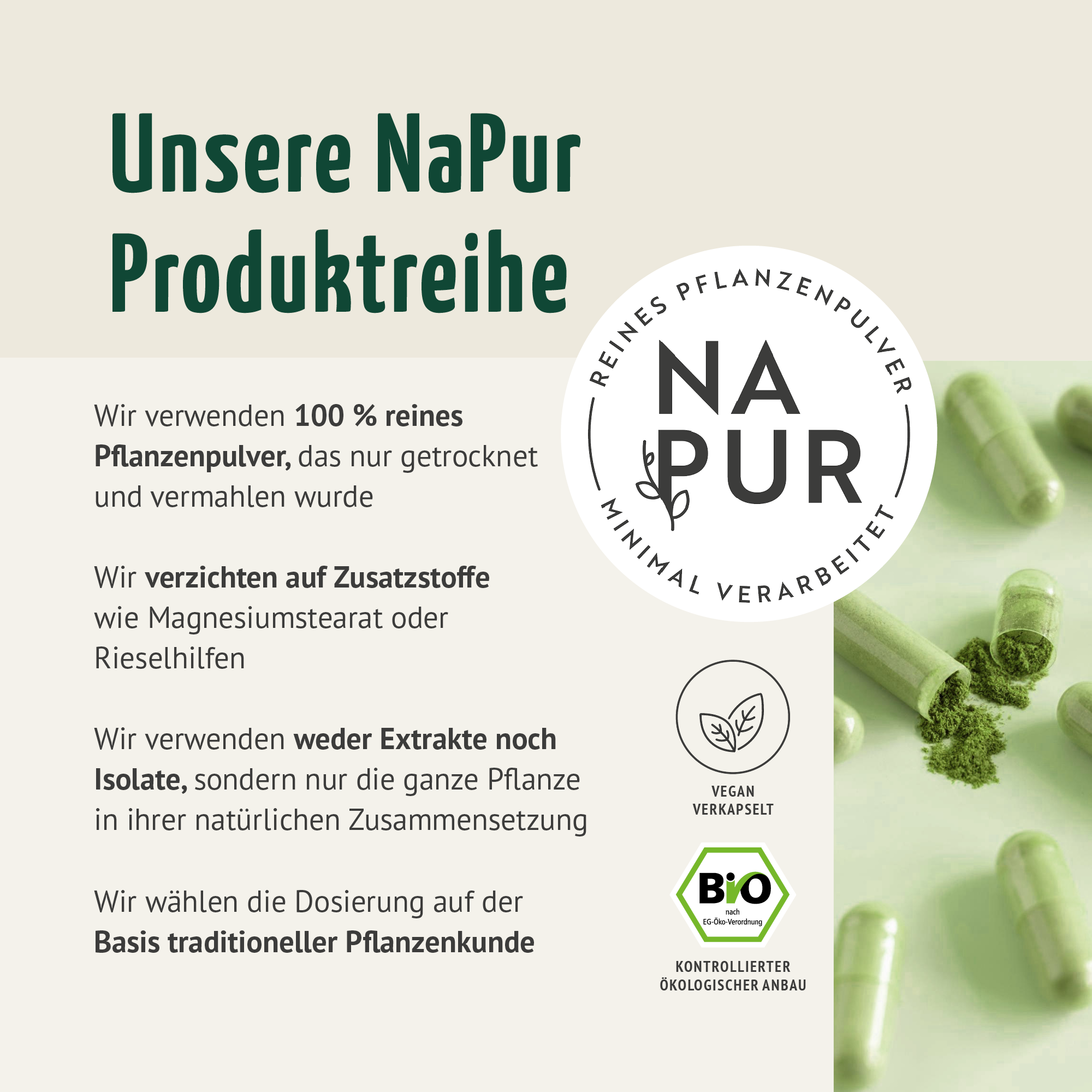 Brennnessel Kapseln Bio (160 Kapseln)