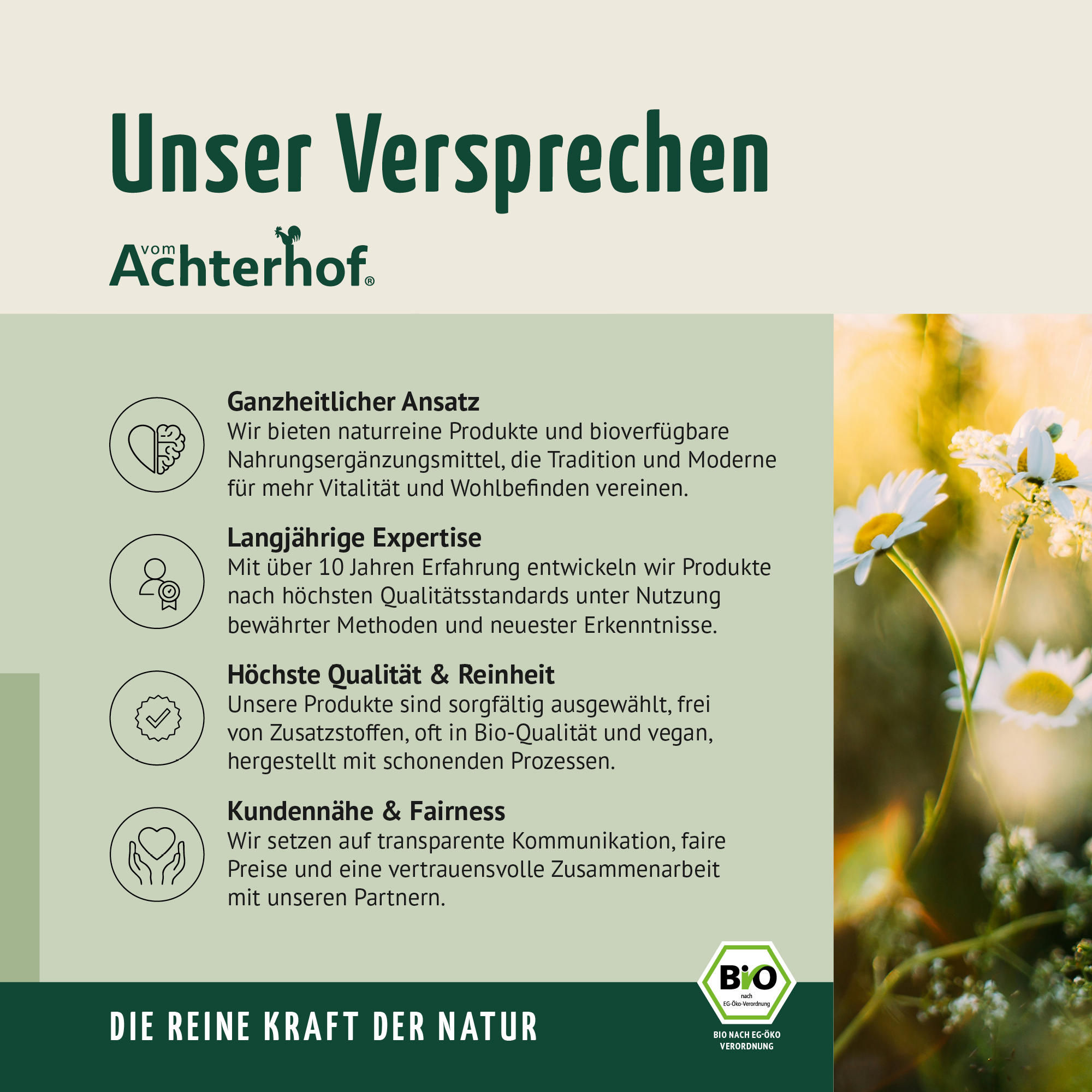 Bio Spicy Chai Gewürzmischung – zuckerfrei (100g)