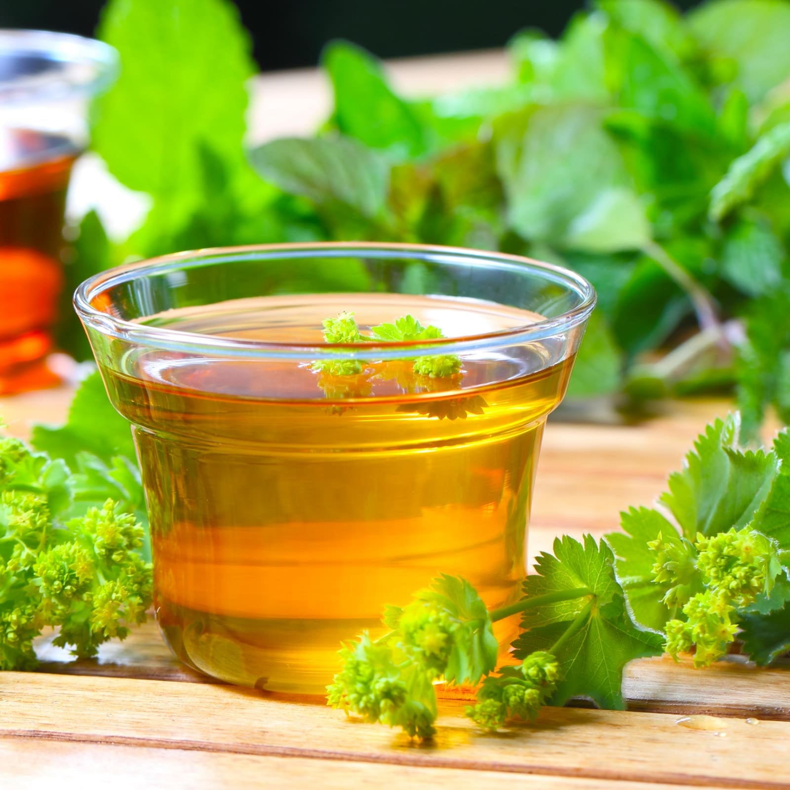 Frauenmantelkraut geschnitten (250g)