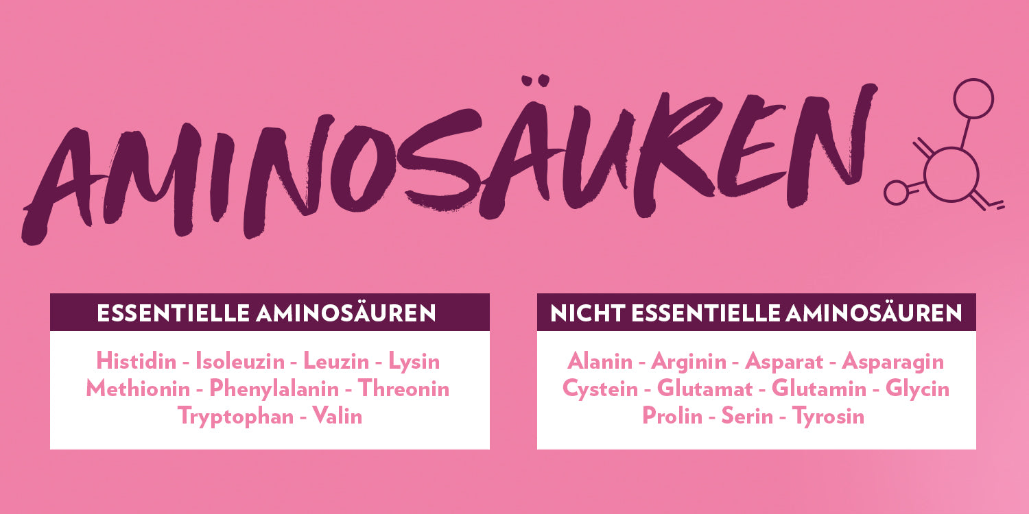 GQ_Aminosaeuren_1500x750px_NEU