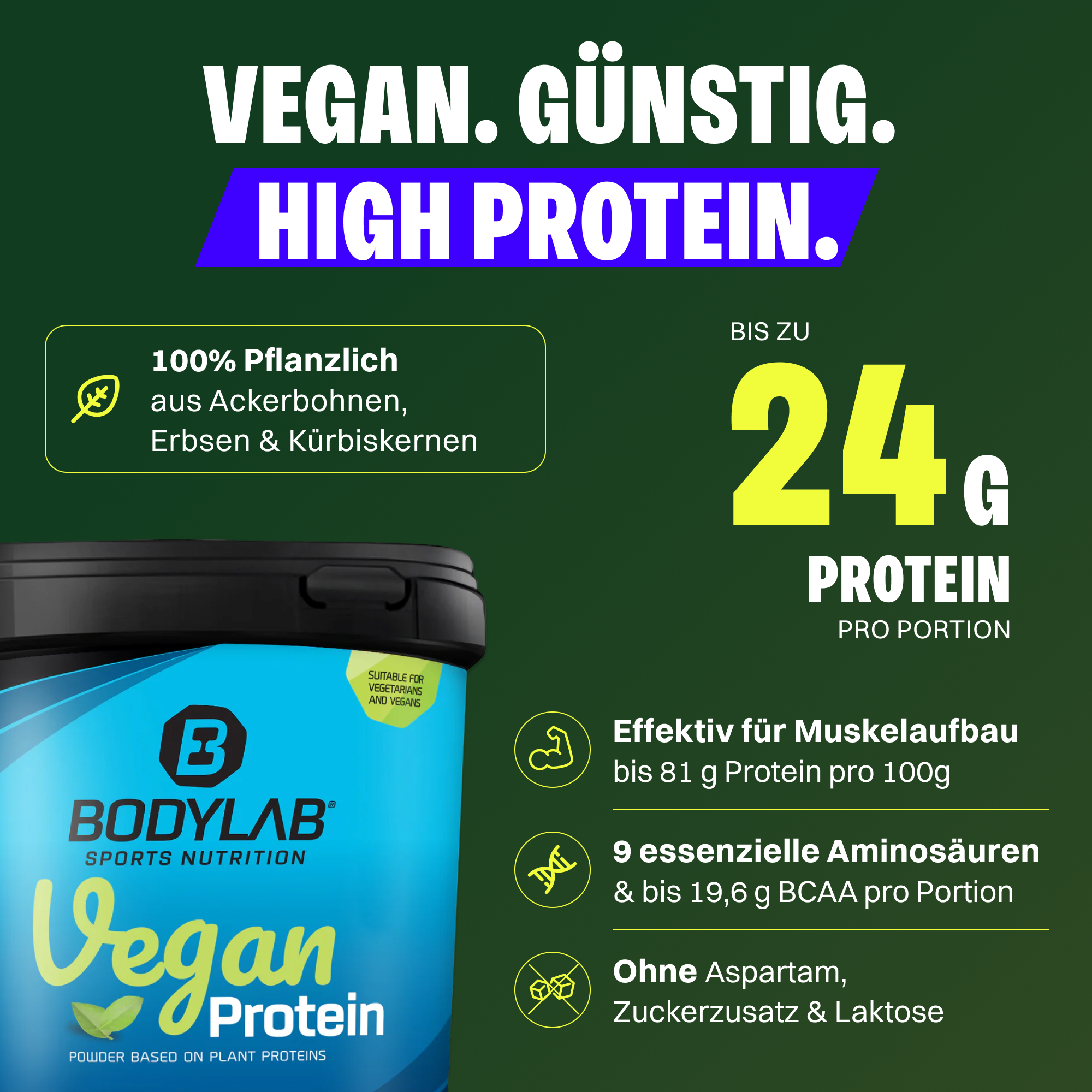 3 x Vegan Protein (1000g)