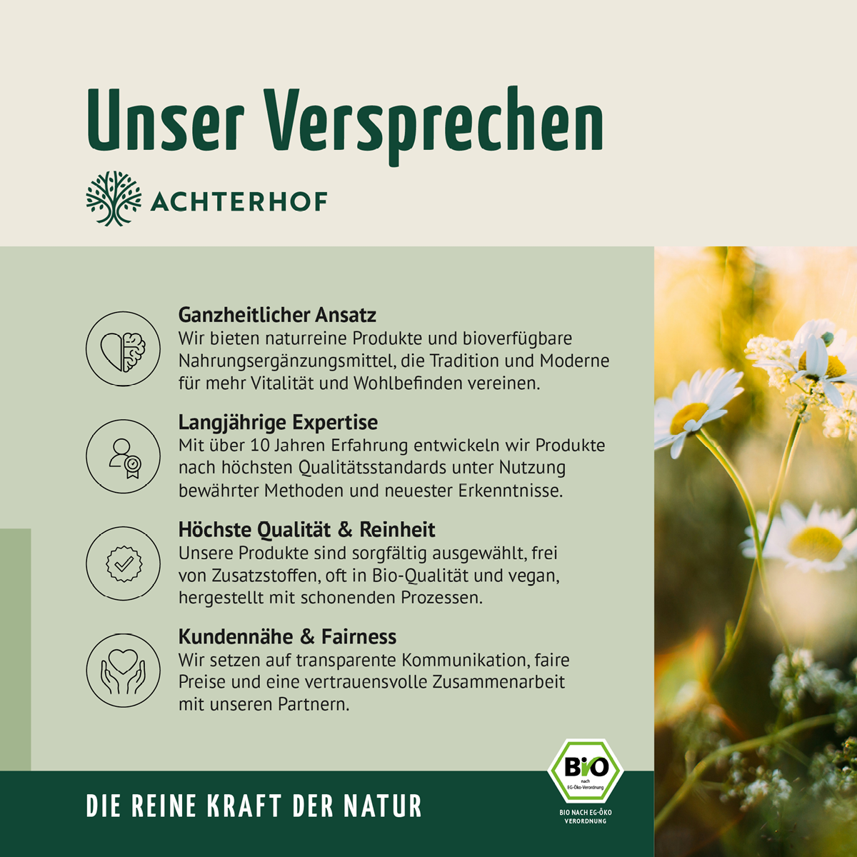 Kräuterwunder Bio Fastenkur 1-7 Tage (6 Flaschen pro Tag)