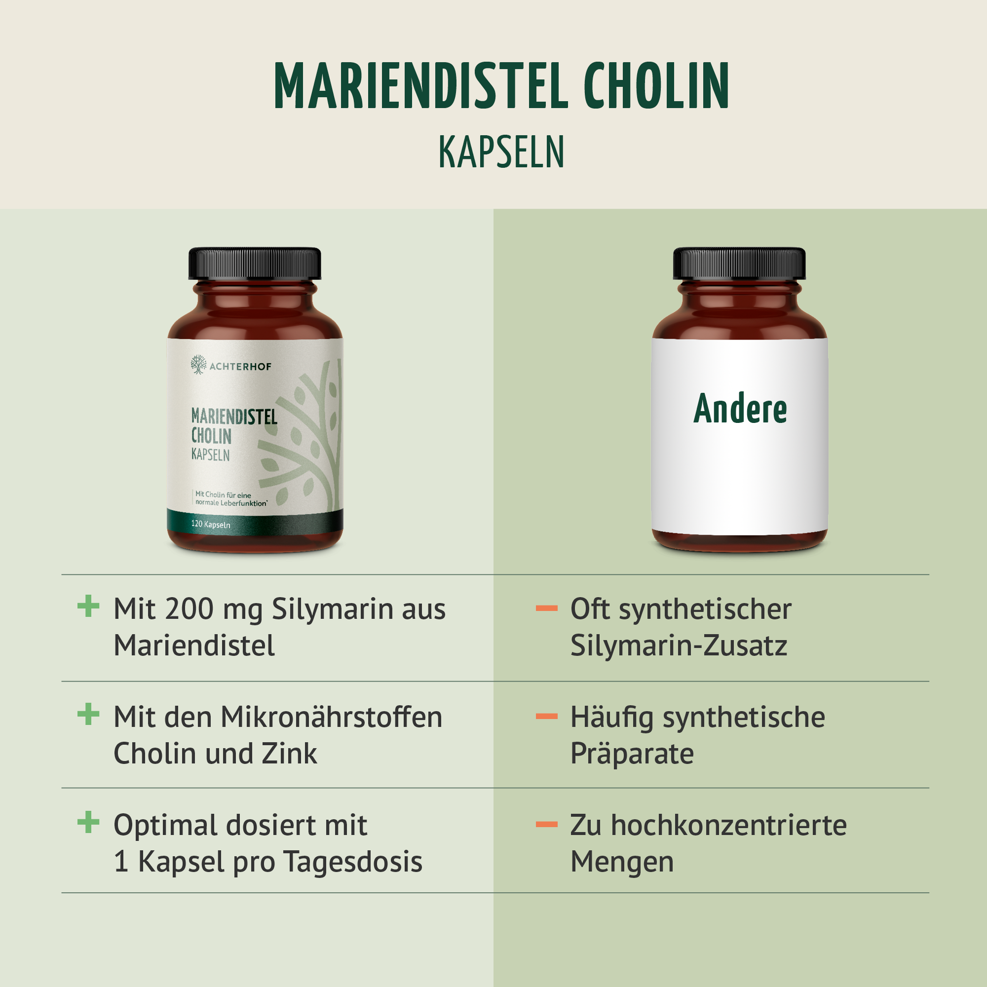 Mariendistel Cholin Kapseln (120 Kapseln)