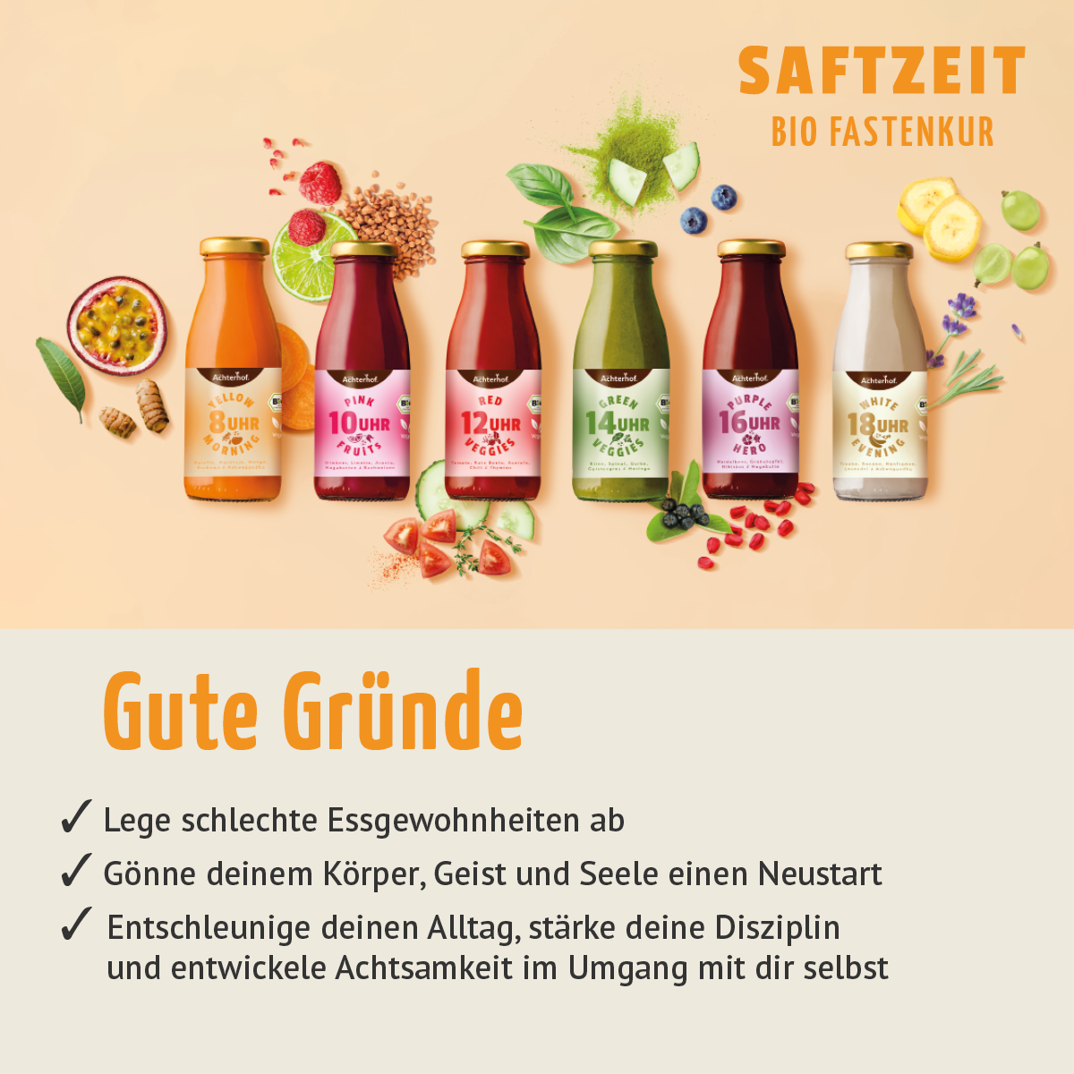 Saftzeit Bio Fastenkur 1 Tag (6 Flaschen)