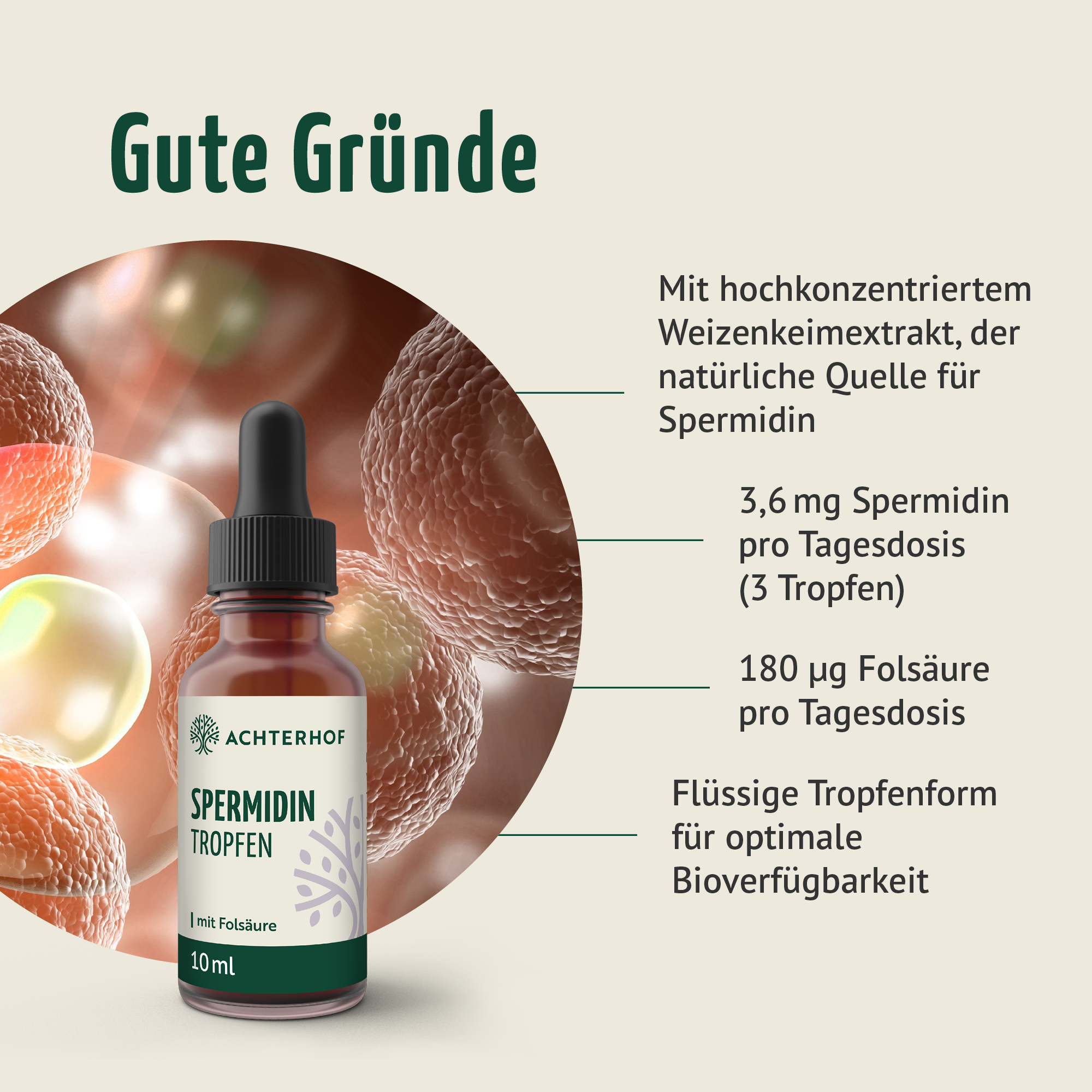 Spermidin B9 Tropfen (10ml)