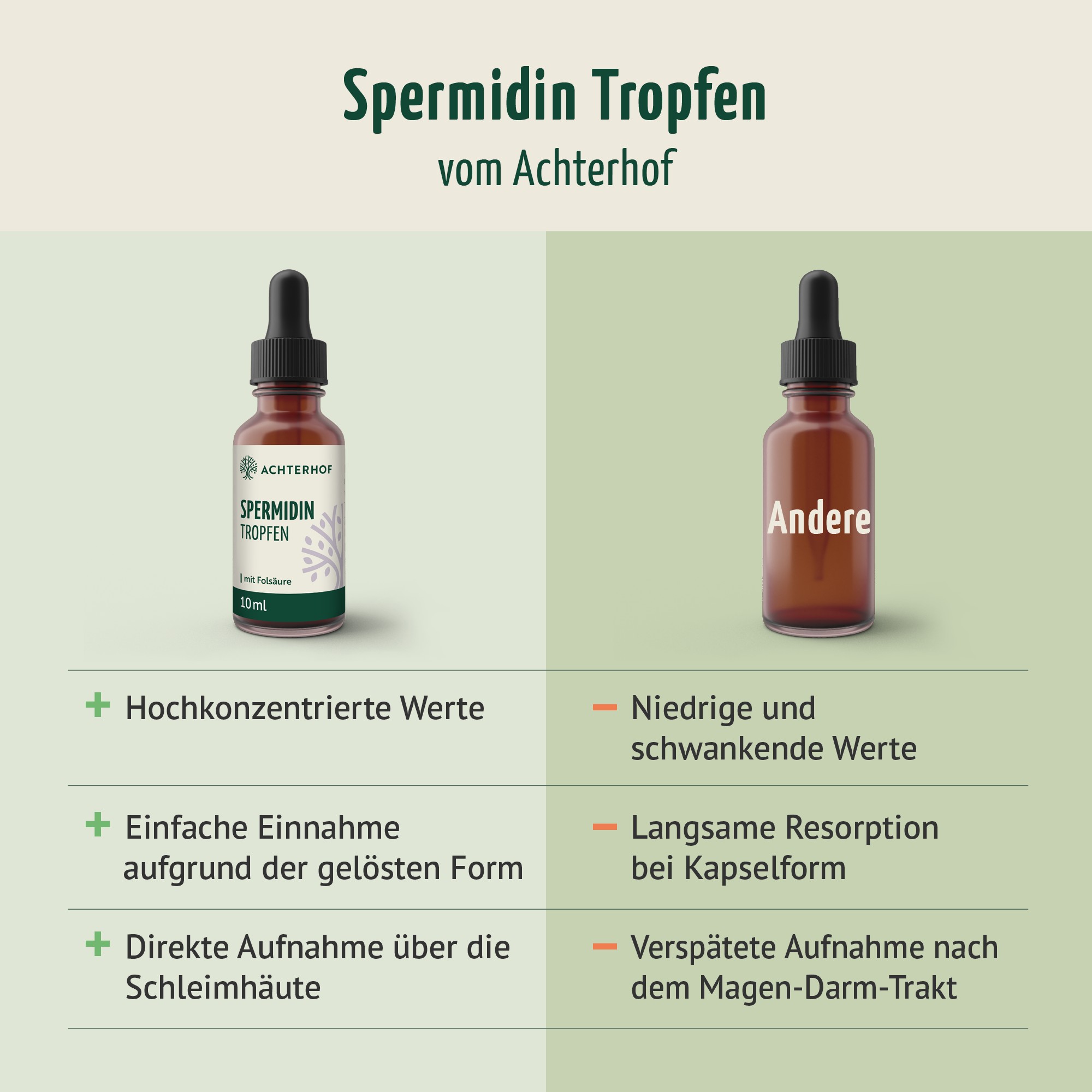 Spermidin B9 Tropfen (10ml)