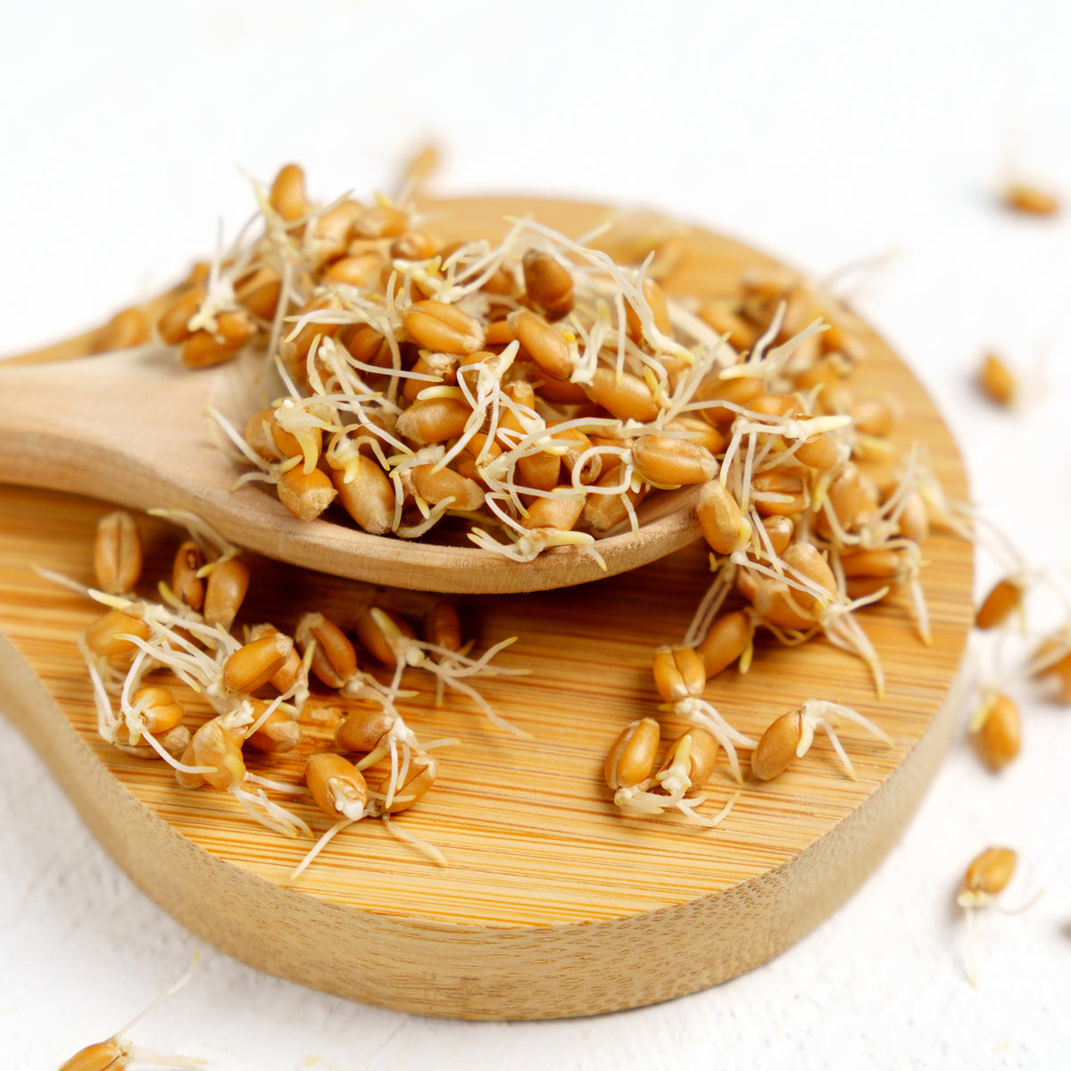 Spermidin aus Weizenkeimen Bio (500g)