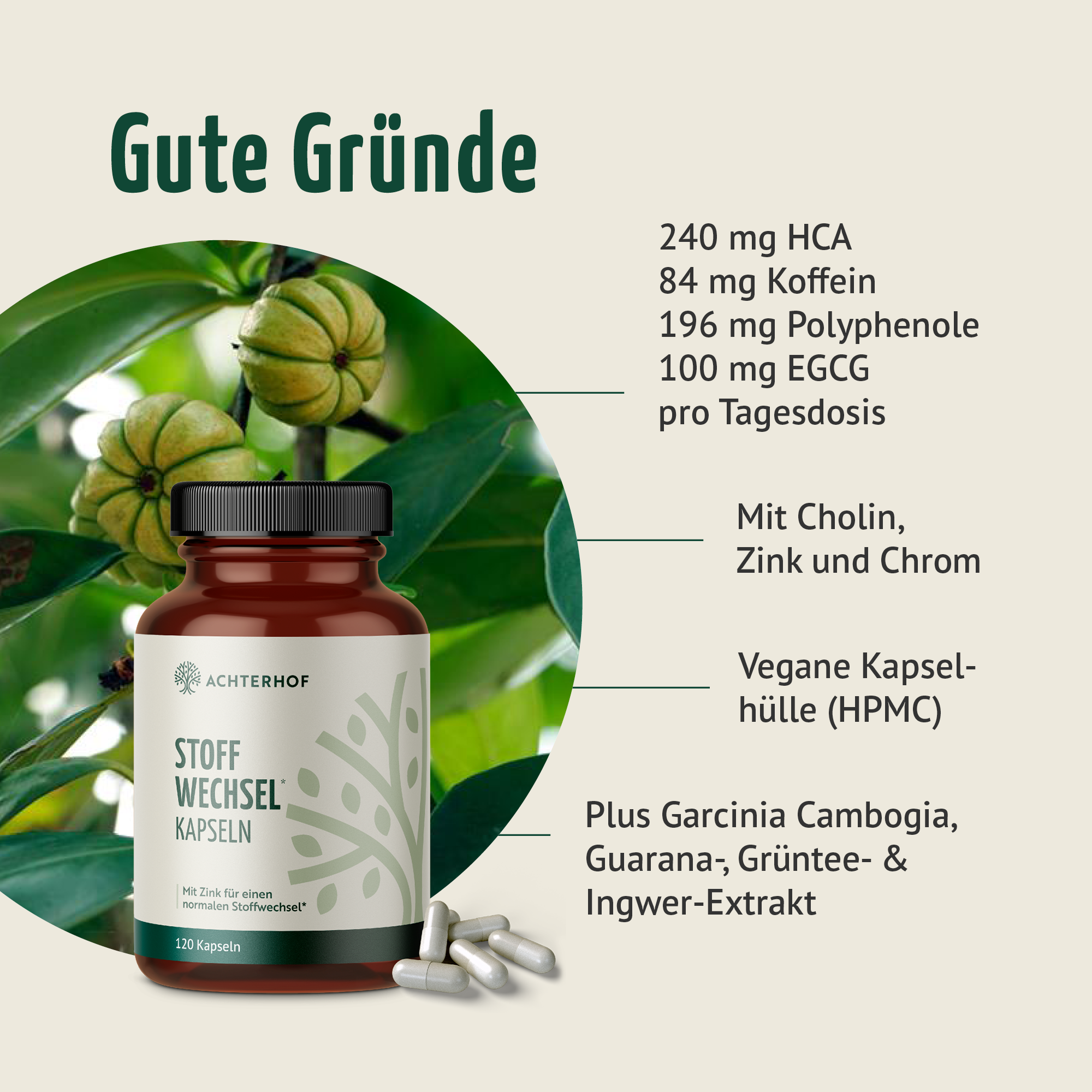 Stoffwechsel Kapseln (120 Kapseln)